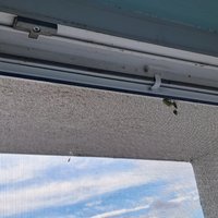 Výměna sítě proti hmyzu zadarmo