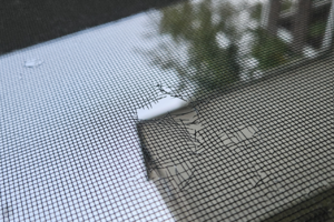 Vyzobaná síťovina od ptáků