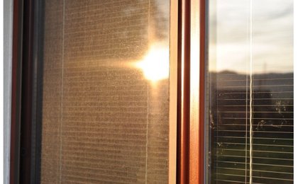 Sundávat sítě proti hmyzu na zimu: Ano, nebo ne? 