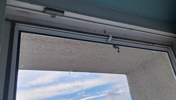 Výměna sítě proti hmyzu zadarmo