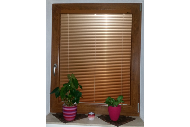 Horizontální žaluzie | Žaluzie do plastových oken | Praha | Brno | Ostrava 2 Horizontální žaluzie | Žaluzie do plastových oken | Praha | Brno | Ostrava 2